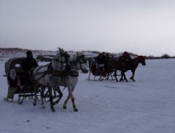 Donan gölde atlı kızak keyfi